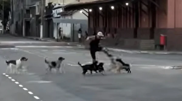 Cachorros atacam corredor em MG