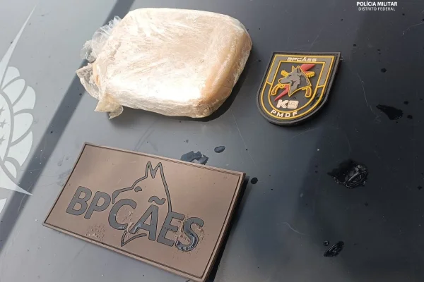Cadela Glock acha “tijolo” de crack dentro de mochila abandonada no DF