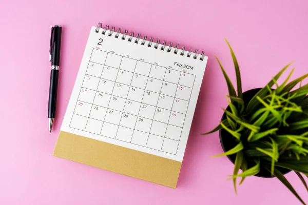 Foto colorida de um calendário de fevereiro de 2024 em fundo rosa ao lado de uma caneta e uma planta - Metrópoles