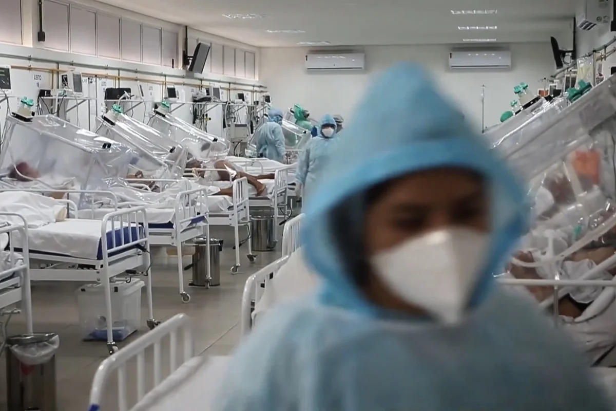 Anatomia do Caos: Dandara Ferreira transforma CPI da Covid em reality show e revela descaso de Bolsonaro