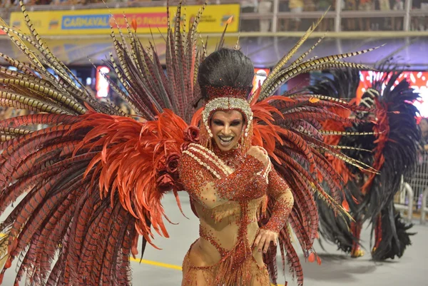 Imagem mostra desfile da Colorado do Brás - Metrópoles