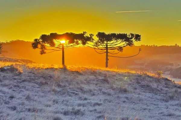 Imagem colorida, Bom Jardim da Serra amanhece com Geada- Metrópoles