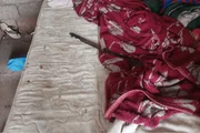 Homem é preso após esfaquear e dar pauladas nos próprios pais na Grande SP - imagem 2 Homem é preso após esfaquear e dar pauladas nos próprios pais na Grande SP - imagem 2
