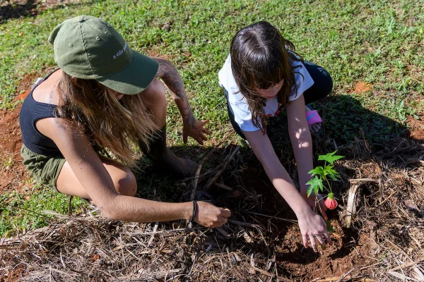 imagem colorida duas pessoas plantando em ação do Funn Festival - Metrópoles