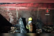 A propagação do fogo contou com três viaturas A propagação do fogo contou com três viaturas