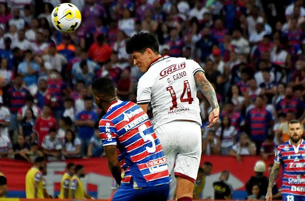 Goleiro Fábio salva e Fluminense vence Fortaleza no Castelão