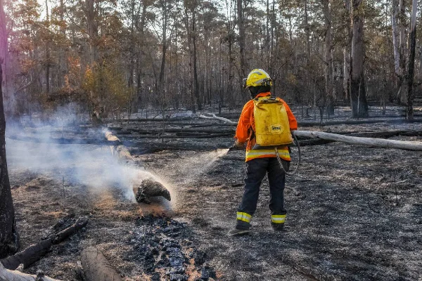 Imagem colorida - GDF cria ações de prevenção a incêndio - Metrópoles