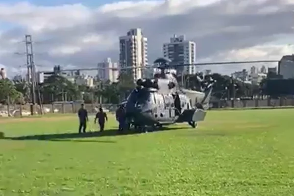 Resgate de cavalo em telhado é complexo e equipes atuam em "sincronia"