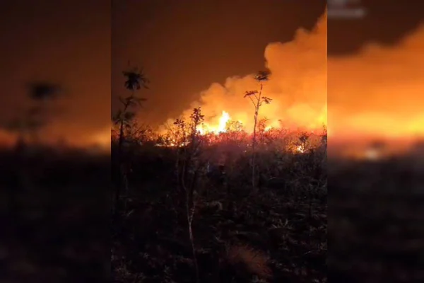 Bombeiros combatem queimada em mata próxima à Papuda. Vídeo