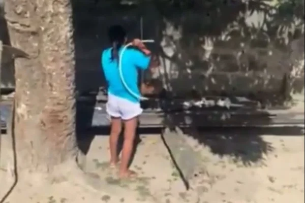 Imagem colorida de uma mulher de camisa azul espancando um cachorro com uma mangueira - Metrópoles