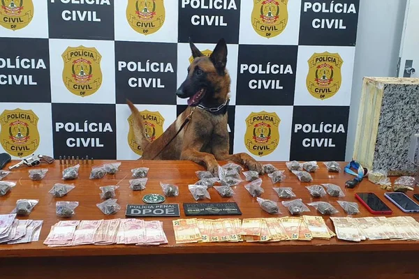 Cão policial após operação contra tráfico - Metrópoles