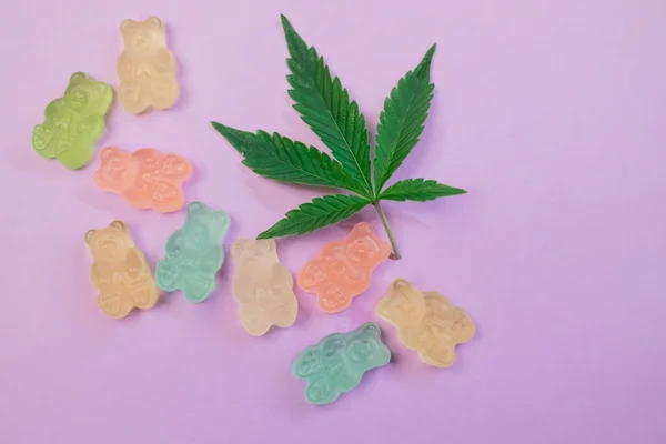 Folha de cannabis com balinhas de urso em fundo rosa - Metrópoles