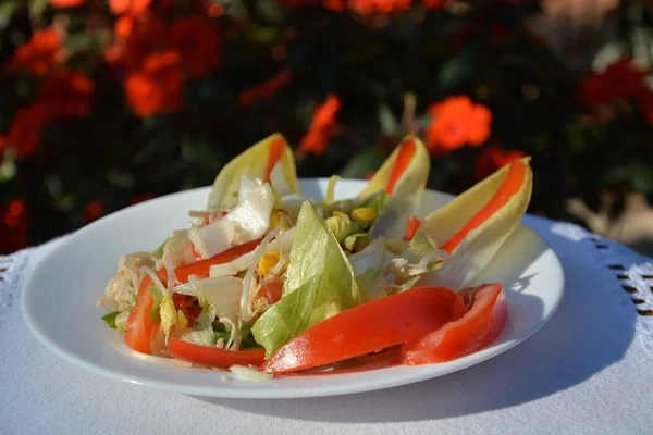 Aprenda duas receitas com endívia, vegetal perfeito para pratos leves