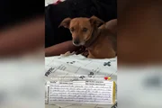 O vídeo viralizou nas redes sociais O vídeo viralizou nas redes sociais