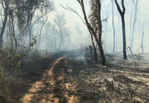 Chuva auxilia no combate a incêndios na Chapada dos Veadeiros