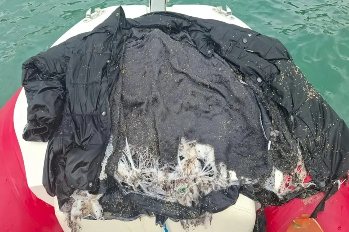 Imagem colorida, Corpo de homem é achado em Santa Catarina 4 dias após morte do irmão- Metrópoles