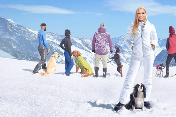 Amazon lança série de corrida de aventura com equipes de humanos e cães