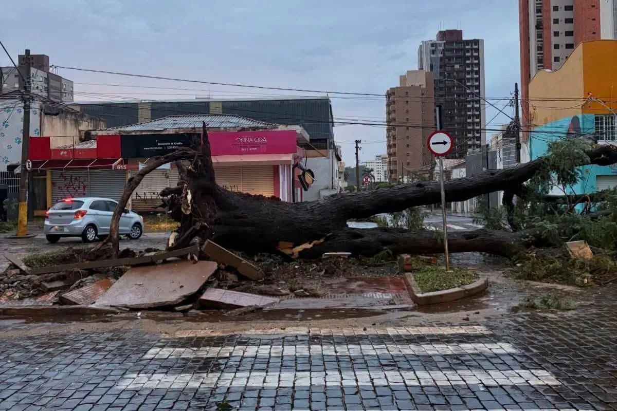 Temporal causa estragos e morte em Ribeirão Preto Temporal causa estragos e morte em Ribeirão Preto