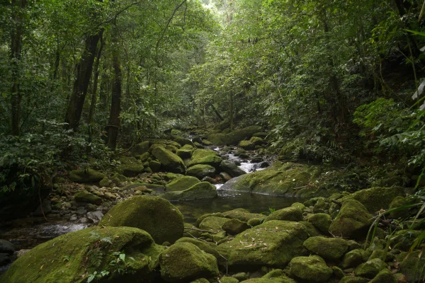 Após 10 anos, MPF fecha acordo sobre área de preservação no litoral de SP - destaque galeria Após 10 anos, MPF fecha acordo sobre área de preservação no litoral de SP - destaque galeria