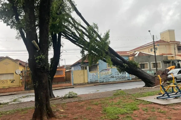 prefeitura de assis cancela aulas temporal