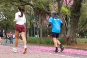 Corredores no Parque Ibirapuera, em São Paulo Corredores no Parque Ibirapuera, em São Paulo