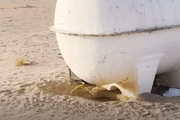 Devido ao calor intenso, a cachorrinha havia se abrigado debaixo de um tanque de água, em busca de sombra e um mínimo de alívio