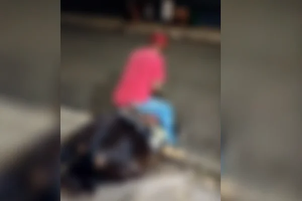 Imagem colorida de homem em cima de cavalo. Metrópoles