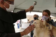 Cachorro sendo abençoado Cachorro sendo abençoado