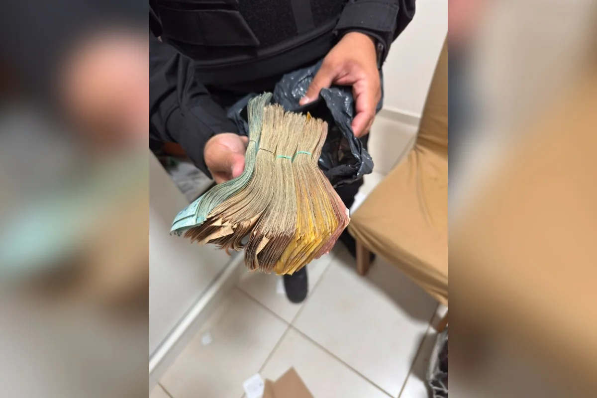 Os investigados poderão responder pelos crimes de organização criminosa, financiamento de cultivo ilegal de maconha, tráfico e associação para o tráfico de drogas e lavagem de dinheiro Os investigados poderão responder pelos crimes de organização criminosa, financiamento de cultivo ilegal de maconha, tráfico e associação para o tráfico de drogas e lavagem de dinheiro
