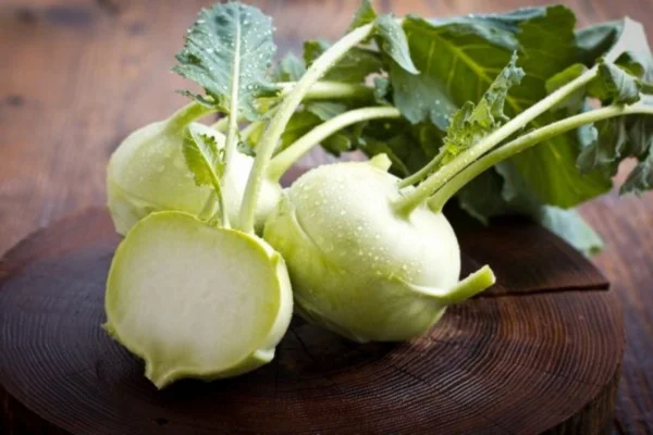 Vegetal pouco conhecido pode melhorar a imunidade e reduzir gases