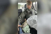 Filhote de anta com a pata fraturada é resgatada entre rodovias no interior