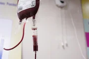 Por que dia 13 de agosto é Dia dos Vampiros em São Paulo? - imagem 2 Por que dia 13 de agosto é Dia dos Vampiros em São Paulo? - imagem 2