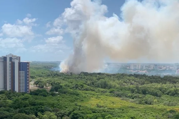 Imagem vista de longe do incêndio, do Parque do Cocó, Fortaleza (CE), dia - Metrópoles