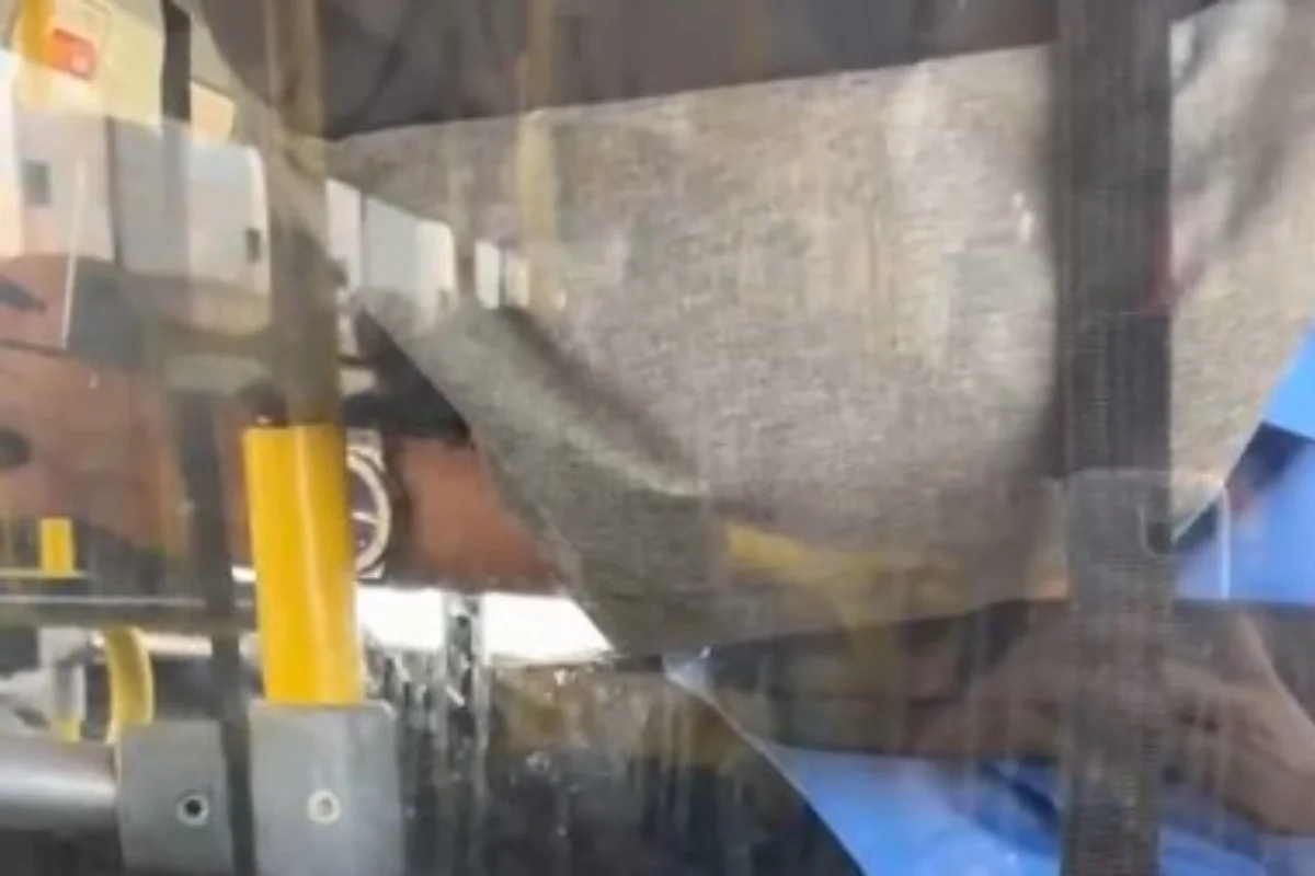 Cobrador de ônibus é detido por ato obsceno em transporte público