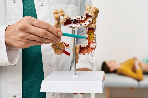 Grão popular ajuda a regular o intestino e apoia a saúde dos rins