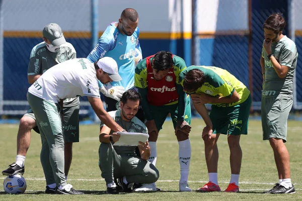 Palmeiras treino