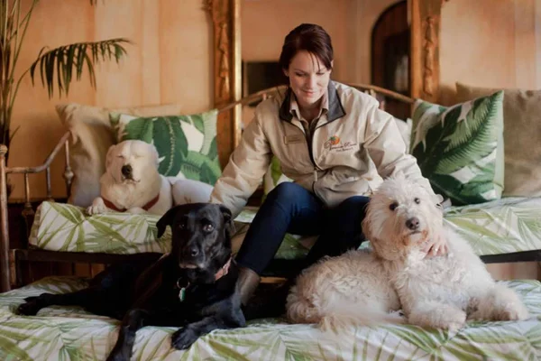 Luxo pet: conheça os 6 maiores resorts exclusivos para animais