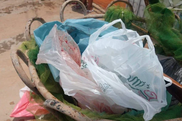Morador encontra restos de feto em lixeira no Entorno do DF