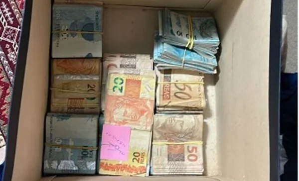 Em foto colorida, maços de dinheiro guardados em caixa de papelão - Metrópoles