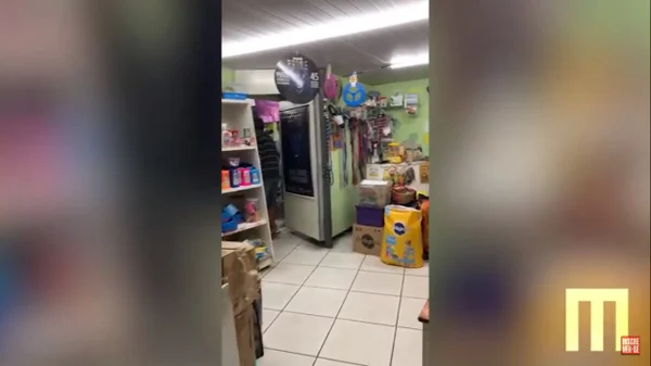 Vídeo: fiscais descobrem que pet-shop era entrada secreta para bar