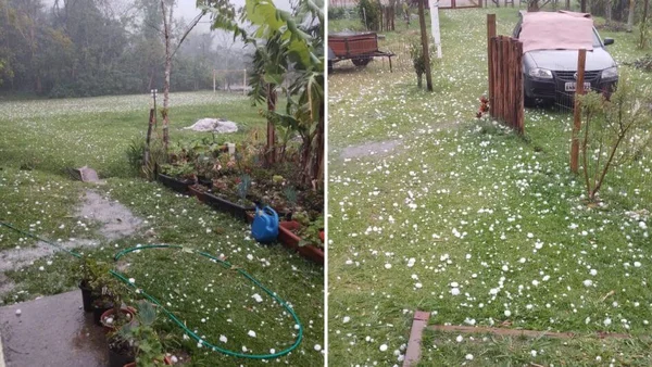 Imagem colorida de grama repleta de pedras de granizo - Metrópoles