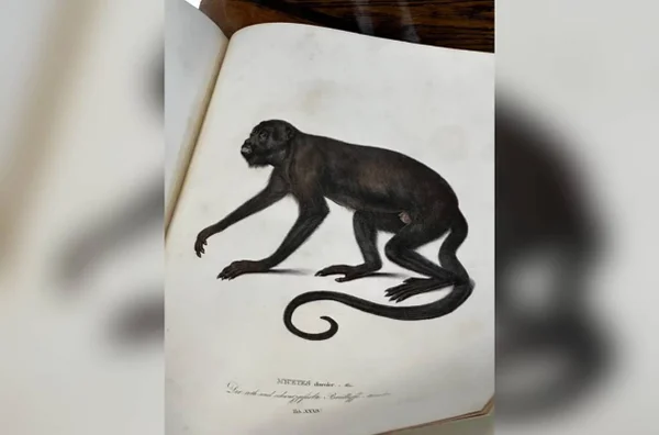 imagem colorida livro histórico resgatado pf apos furto museu para
