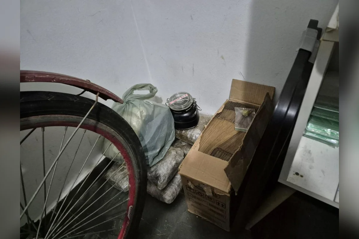 PF prende traficante que estocava tijolos de maconha em casa no Rio - imagem 2 PF prende traficante que estocava tijolos de maconha em casa no Rio - imagem 2