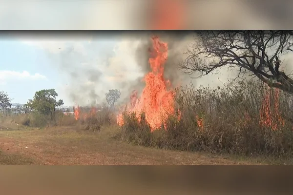 Incêndio no Noroeste