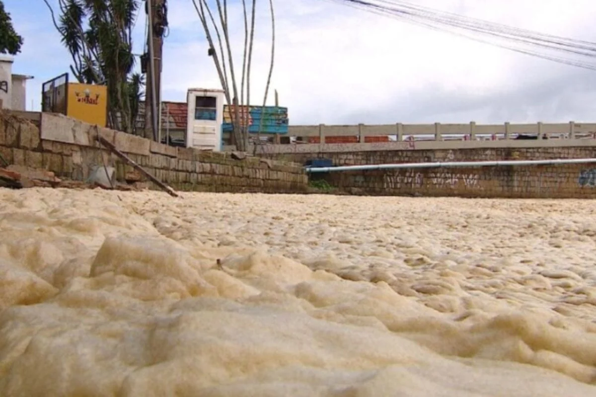 Espuma cobre lagoa em Florianópolis e preocupa moradores da região 1 Espuma na Lagoa da Conceição