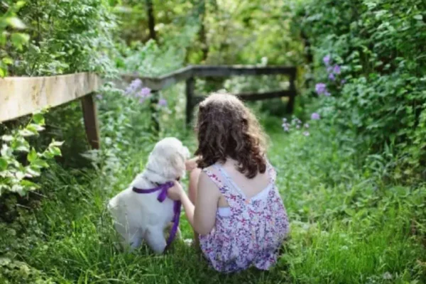 Descubra se os cachorros imitam a personalidade dos tutores