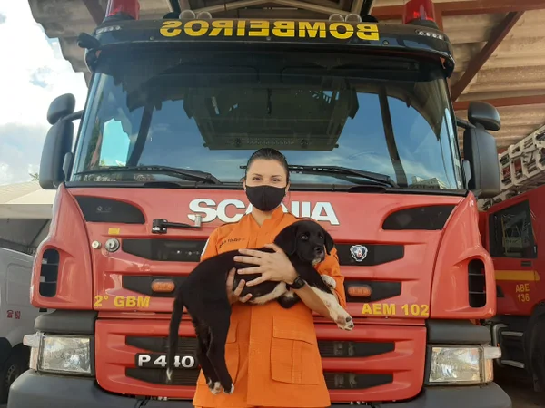 bombeiro com cão