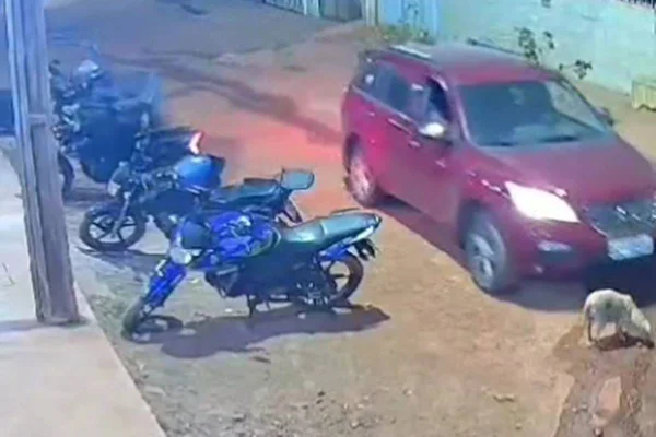 Motorista com CNH vencida desde 2012 atropela cachorra grávida. Vídeo