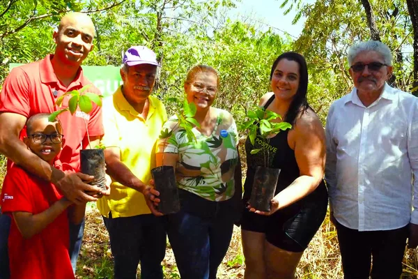 Cinco pessoas lado a lado, sorrindo e exibindo mudas de ipê, com árvores ao fundo