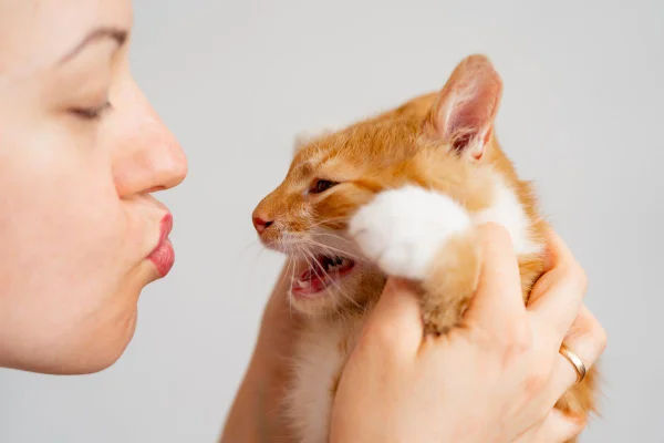 foto colorida mulher tentando beijar gato